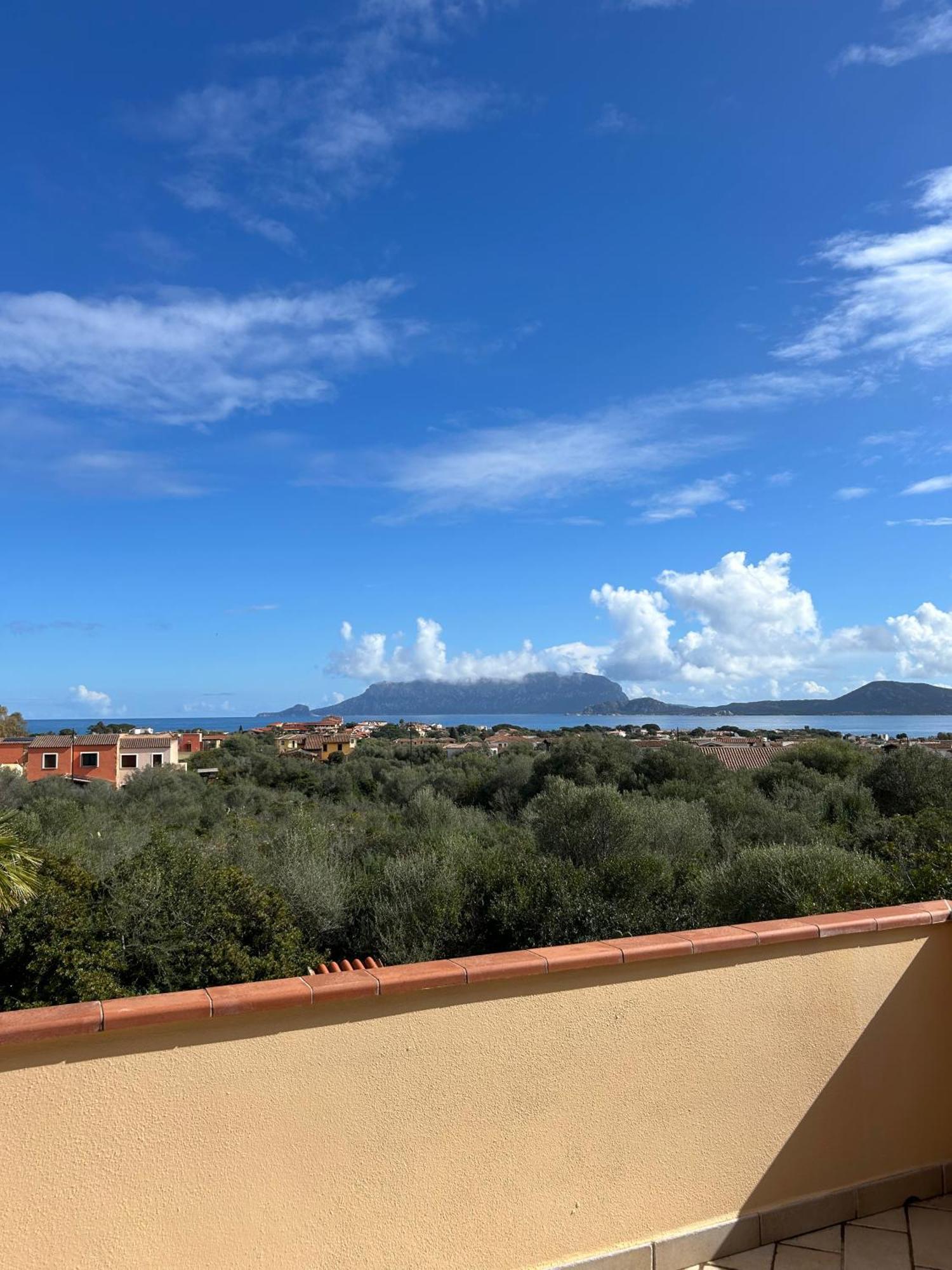 Villa Ulivo Olbia Extérieur photo